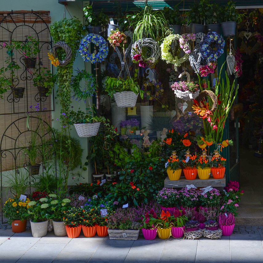 flower-gfe8a680ed_1280SQAURE